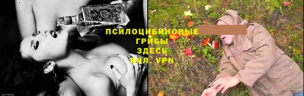apvp Лиски