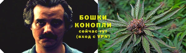 apvp Лиски