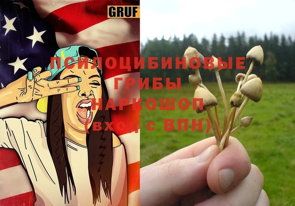 apvp Лиски