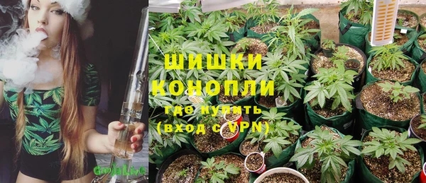apvp Лиски